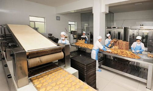 東北亞小鋪掌柜獨(dú)家爆料最新朝鮮社會動態(tài)掠影,令人精神振奮